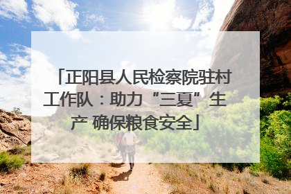 正阳县人民检察院驻村工作队：助力“三夏”生产 确保粮食安全