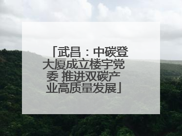 武昌：中碳登大厦成立楼宇党委 推进双碳产业高质量发展