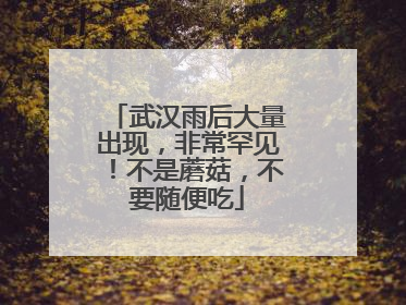 武汉雨后大量出现，非常罕见！不是蘑菇，不要随便吃