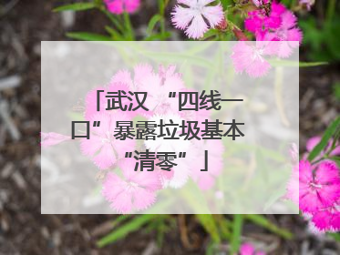 武汉 “四线一口”暴露垃圾基本 “清零”
