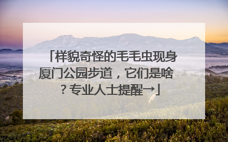 样貌奇怪的毛毛虫现身厦门公园步道，它们是啥？专业人士提醒→