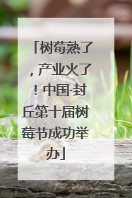 树莓熟了，产业火了！中国·封丘第十届树莓节成功举办