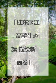 桂东沤江：高擎生态旗 描绘新画卷