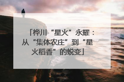 桦川“星火”永耀：从“集体农庄”到“星火稻香”的蜕变