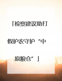 检察建议助打假护农守护“中原粮仓”