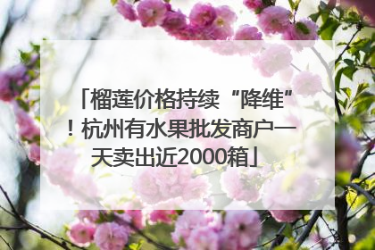 榴莲价格持续“降维”！杭州有水果批发商户一天卖出近2000箱
