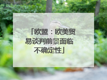 欧盟：欧美贸易谈判前景面临不确定性