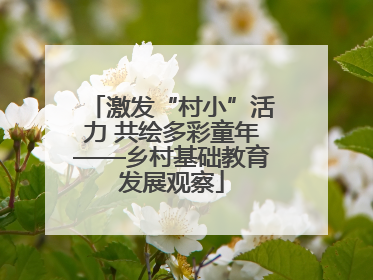 激发“村小”活力 共绘多彩童年——乡村基础教育发展观察