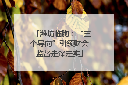 潍坊临朐：“三个导向”引领财会监督走深走实