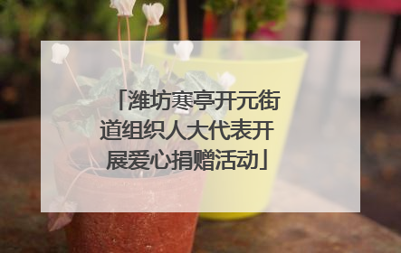 潍坊寒亭开元街道组织人大代表开展爱心捐赠活动