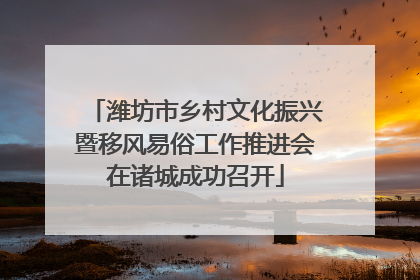 潍坊市乡村文化振兴暨移风易俗工作推进会在诸城成功召开