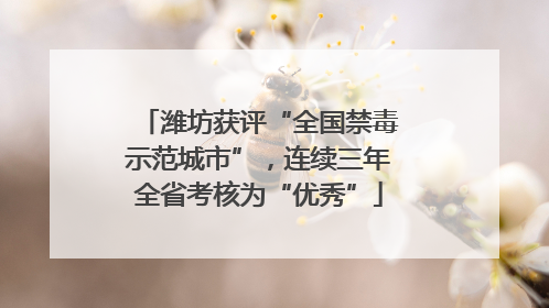 潍坊获评“全国禁毒示范城市”，连续三年全省考核为“优秀”