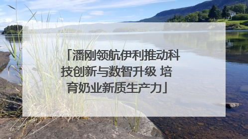 潘刚领航伊利推动科技创新与数智升级 培育奶业新质生产力