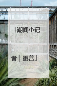 潮闻小记者｜露营
