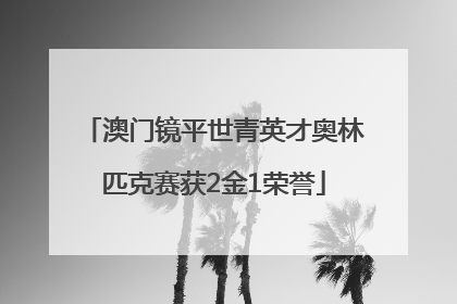 澳门镜平世青英才奥林匹克赛获2金1荣誉