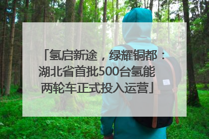 氢启新途，绿耀铜都：湖北省首批500台氢能两轮车正式投入运营
