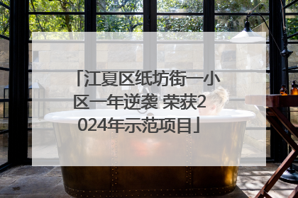 江夏区纸坊街一小区一年逆袭 荣获2024年示范项目
