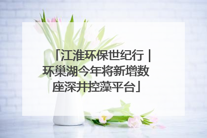 江淮环保世纪行｜环巢湖今年将新增数座深井控藻平台