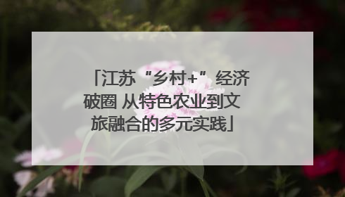 江苏“乡村+”经济破圈 从特色农业到文旅融合的多元实践