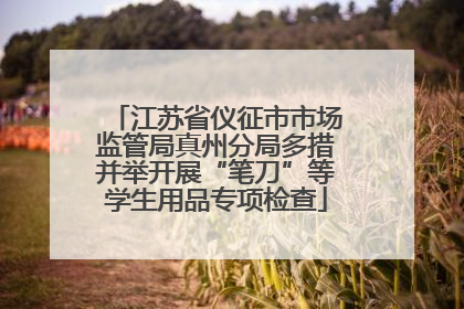 江苏省仪征市市场监管局真州分局多措并举开展“笔刀”等学生用品专项检查