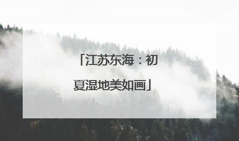 江苏东海：初夏湿地美如画