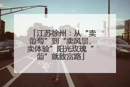 江苏徐州：从“卖葡萄”到“卖风景、卖体验”阳光玫瑰“葡”就致富路