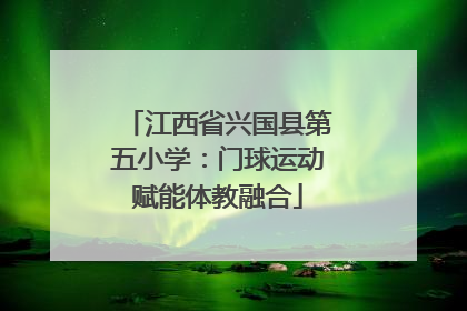 江西省兴国县第五小学:门球运动赋能体教融合
