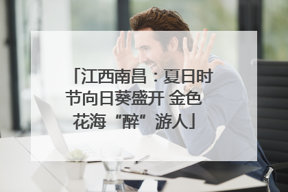 江西南昌：夏日时节向日葵盛开 金色花海“醉”游人