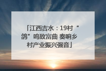 江西吉水：19村“鸽”鸣致富曲 奏响乡村产业振兴强音