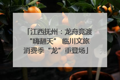 江西抚州：龙舟竞渡“嗨翻天” 临川文旅消费季“龙”重登场