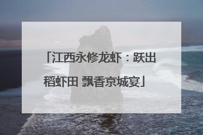 江西永修龙虾：跃出稻虾田 飘香京城宴