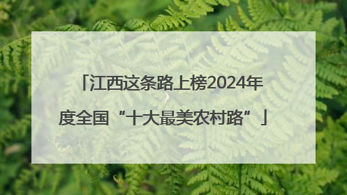江西这条路上榜2024年度全国“十大最美农村路”