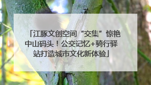 江豚文创空间“交集”惊艳中山码头！公交记忆+骑行驿站打造城市文化新体验