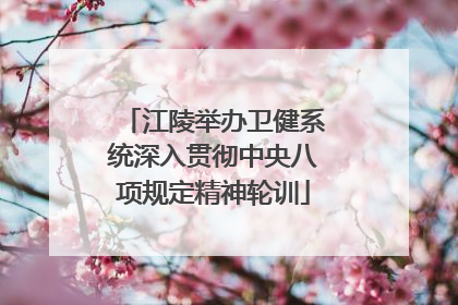 江陵举办卫健系统深入贯彻中央八项规定精神轮训