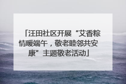 汪田社区开展“艾香粽情暖端午，敬老睦邻共安康”主题敬老活动