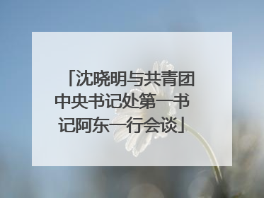 沈晓明与共青团中央书记处第一书记阿东一行会谈