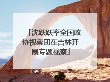 沈跃跃率全国政协视察团在吉林开展专题视察