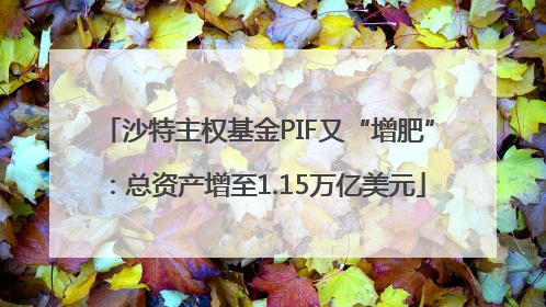 沙特主权基金PIF又“增肥”：总资产增至1.15万亿美元