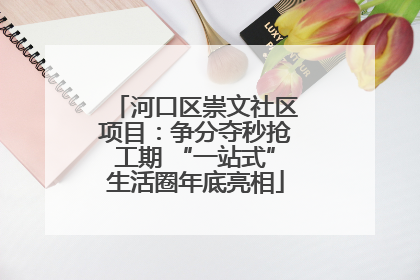 河口区崇文社区项目：争分夺秒抢工期 “一站式”生活圈年底亮相