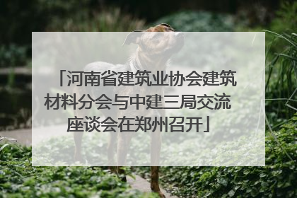 河南省建筑业协会建筑材料分会与中建三局交流座谈会在郑州召开