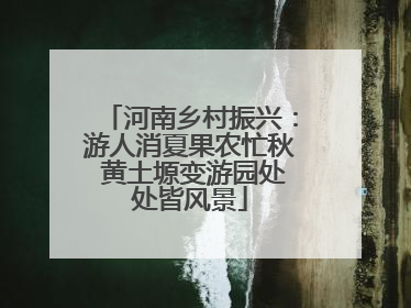 河南乡村振兴：游人消夏果农忙秋 黄土塬变游园处处皆风景