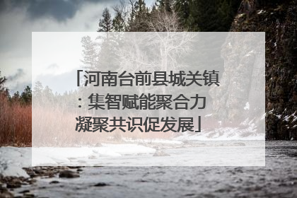 河南台前县城关镇：集智赋能聚合力 凝聚共识促发展