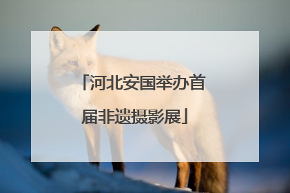 河北安国举办首届非遗摄影展