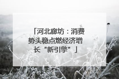 河北廊坊：消费势头稳点燃经济增长“新引擎”