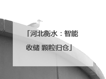 河北衡水：智能收储 颗粒归仓