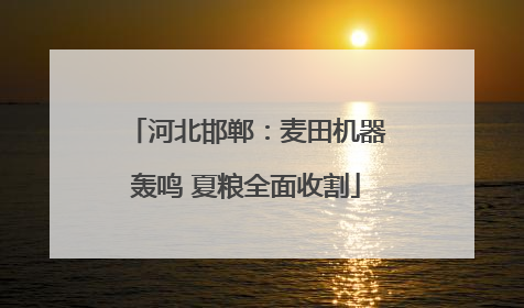 河北邯郸：麦田机器轰鸣 夏粮全面收割