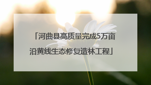 河曲县高质量完成5万亩沿黄线生态修复造林工程