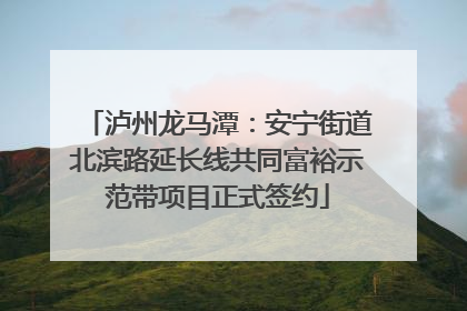 泸州龙马潭：安宁街道北滨路延长线共同富裕示范带项目正式签约