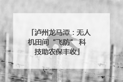 泸州龙马潭：无人机田间“飞防” 科技助农保丰收