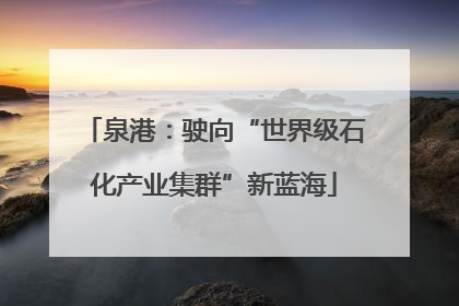 泉港：驶向“世界级石化产业集群”新蓝海